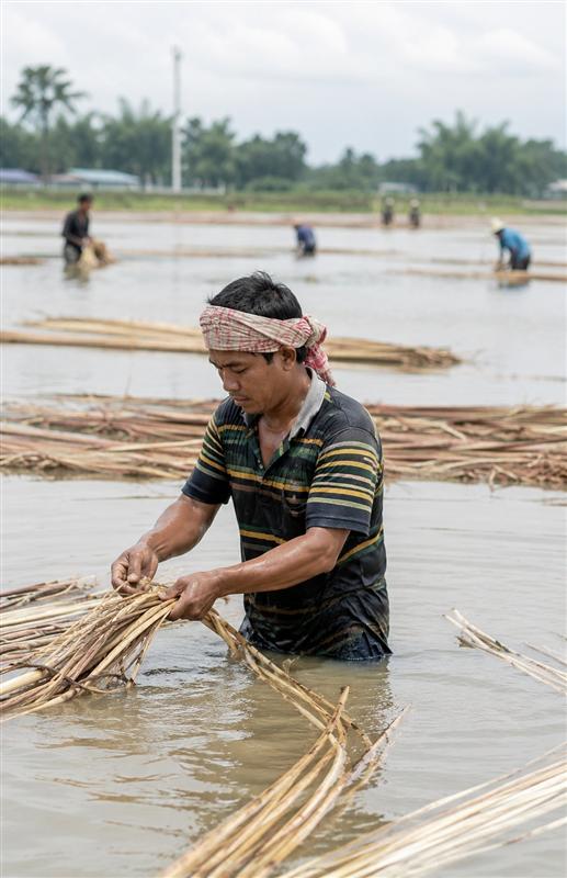 Assam Flood Relief